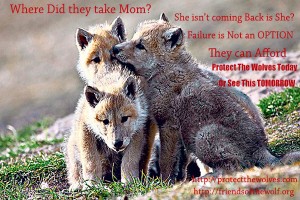 Protect The Wolves against bad Bills