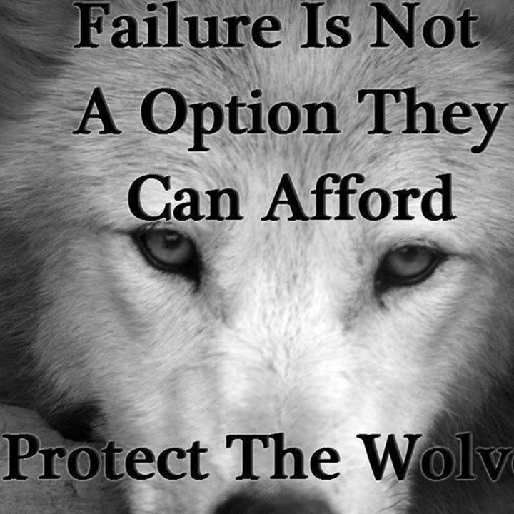 Protect The Wolves