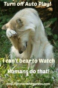 Ferry County Ranchers Target Wolves