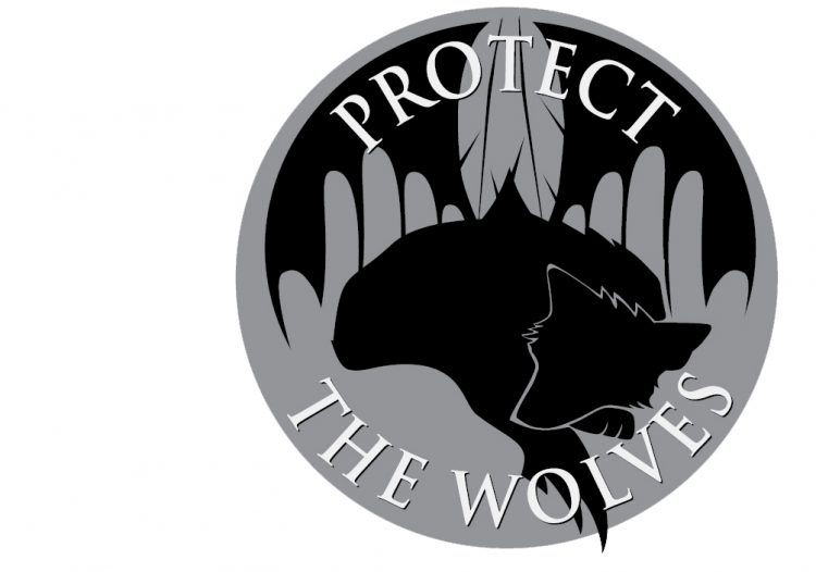 protect Washington wolves, protect yellowstones wolves, protect the wolves, wolves, wolf