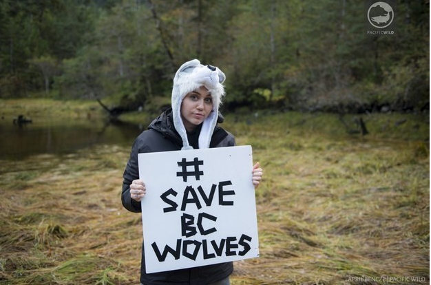 Stop B.C. Wolf Cull