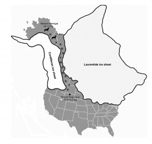 Protect Wyoming Wolves