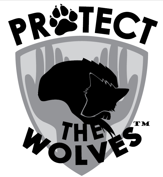 protect montana wolves, sacred resource protection, protect the wolves, wolves, wolf