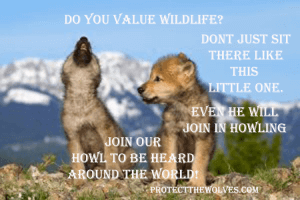 protect the wolves, corporate sponsors, sacred resource protection zone