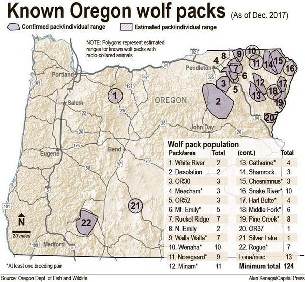 protect oregon wolves, or7, protect the wolves
