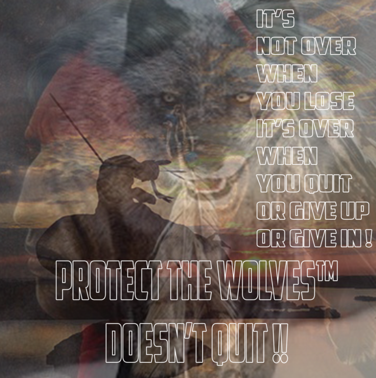 protect the wolves, endangered species list